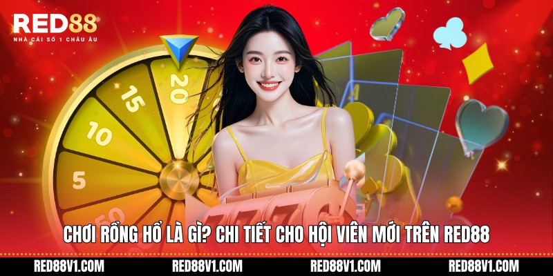 Chơi Rồng Hổ là gì