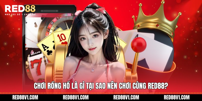 Chơi Rồng Hổ là gì tại sao nên chơi cùng RED88?
