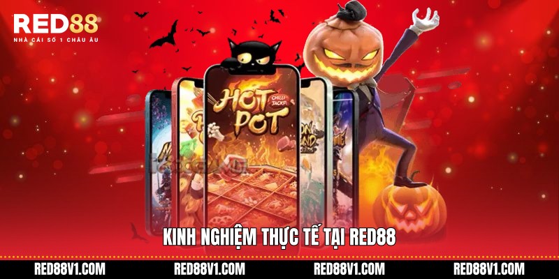 Kinh nghiệm thực tế tại RED88