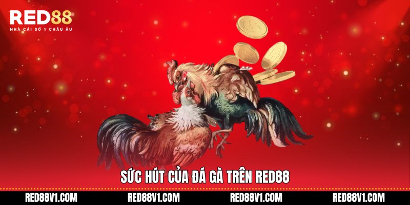Sức hút của đá gà trên RED88
