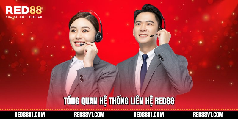 Tổng quan hệ thống liên hệ RED88