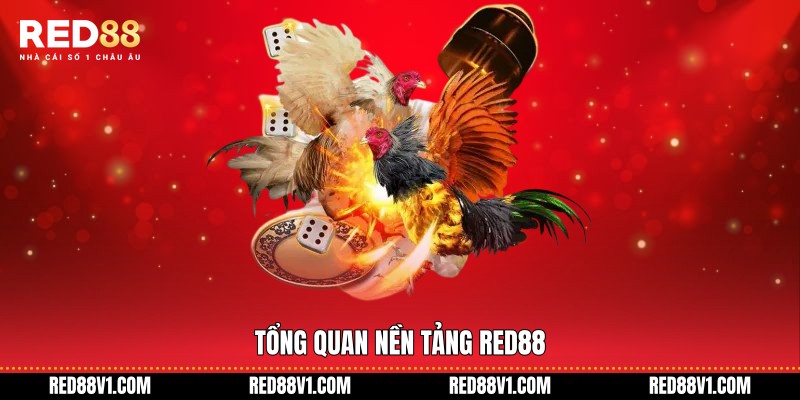 Tổng quan nền tảng RED88
