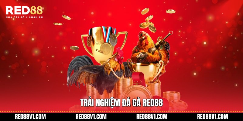 Trải nghiệm đá gà RED88